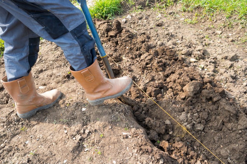 Digging Rough Stone The Ultimate Guide to Selecting and Using Decorative Gravel